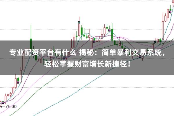 专业配资平台有什么 揭秘：简单暴利交易系统，轻松掌握财富增长新捷径！