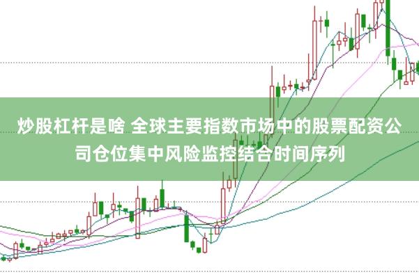 炒股杠杆是啥 全球主要指数市场中的股票配资公司仓位集中风险监控结合时间序列