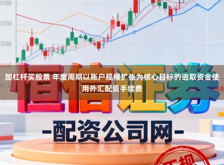 加杠杆买股票 年度周期以账户规模扩张为核心目标的进取资金使用外汇配资手续费